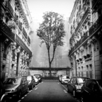 Paris - Cité Vaneau 21-08-2013 #04
